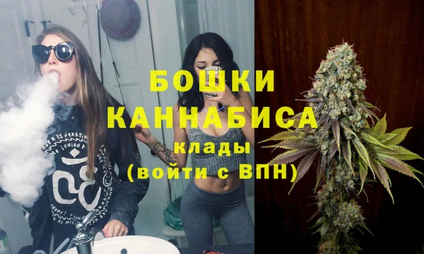 молекула духа Аркадак