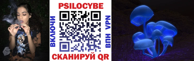 Галлюциногенные грибы Psilocybe  Старая Купавна 